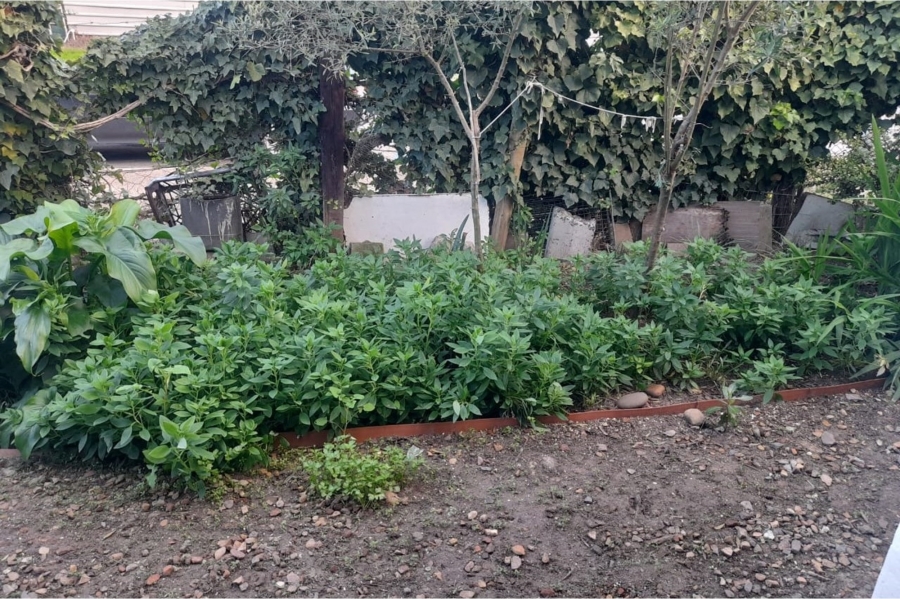 3 Bedroom Property for Sale in Sarepta Western Cape